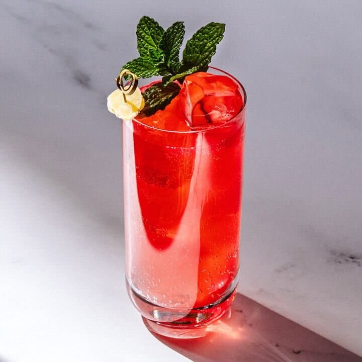 Dead Sea Mule